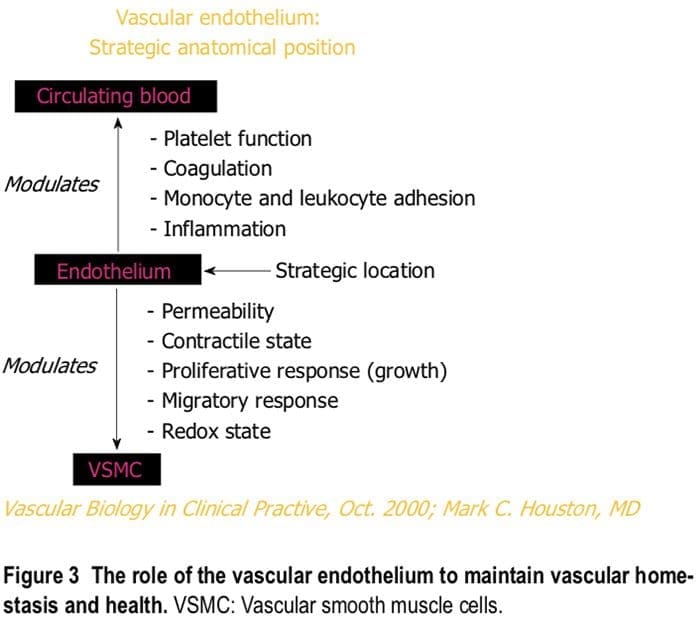 nutraceutical