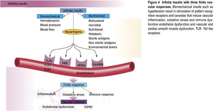 nutraceutical