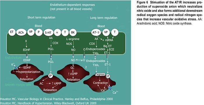 nutraceutical