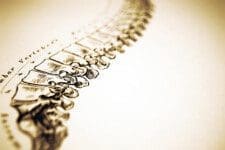 spine-drawing.jpg