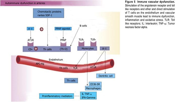 nutraceutical