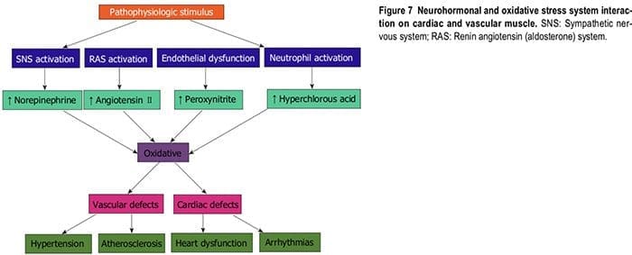 nutraceutical